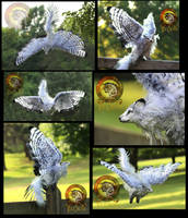 SOLD HANDMADE Poseable Winged Fantail Moon Wolf!