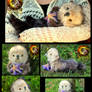 SOLD Handmade Poseable Baby Otter Poppy!