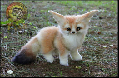 Explore The Best Fennec Art Deviantart Explore The Best Fennec Art Deviantart