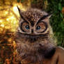 Sold, Poseable Barn Owl!