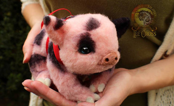 Sold, Poseable Baby Teacup Pig!