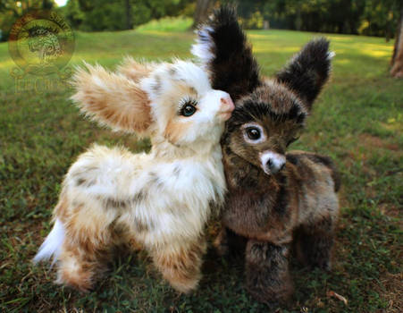 Sold, Poseable Baby Donkeys!