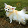 Sold, Poseable Three Tailed Baby Fennec Fox!