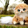 Sold, Poseable Sherbet Kitten!