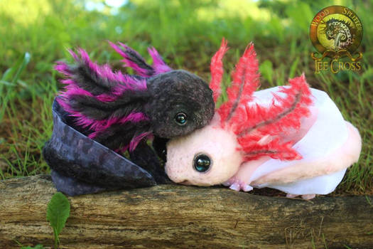 Sold, Poseable Baby Axolotls!