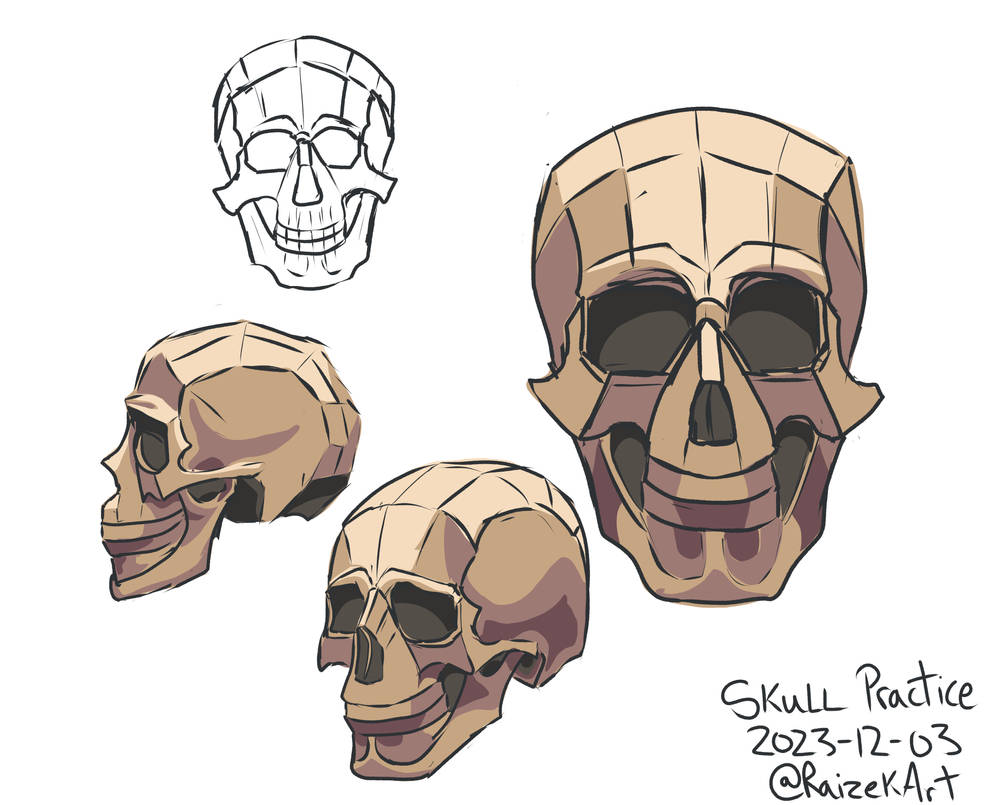 Skull Practice 01 by Raizekk on DeviantArt