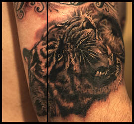 Tiger tattoo