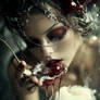 Between the Sacred and the Carnal