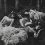 Forest Fairies . Enchanted woodlands...