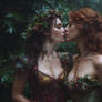 Forest Fairies