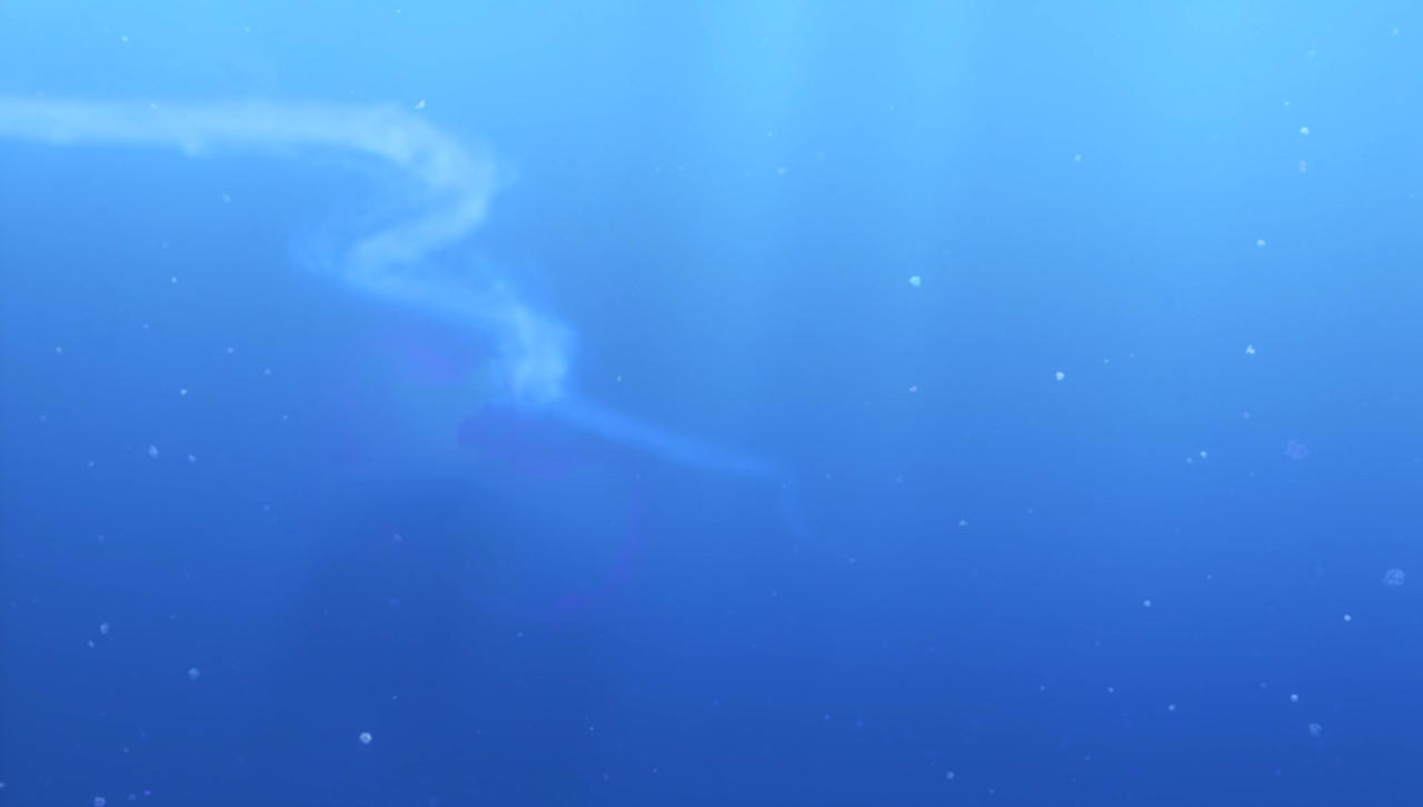 Numoa Background Finding Nemo - Wallpaper Background Part 13 by DavidGracian on DeviantArt
