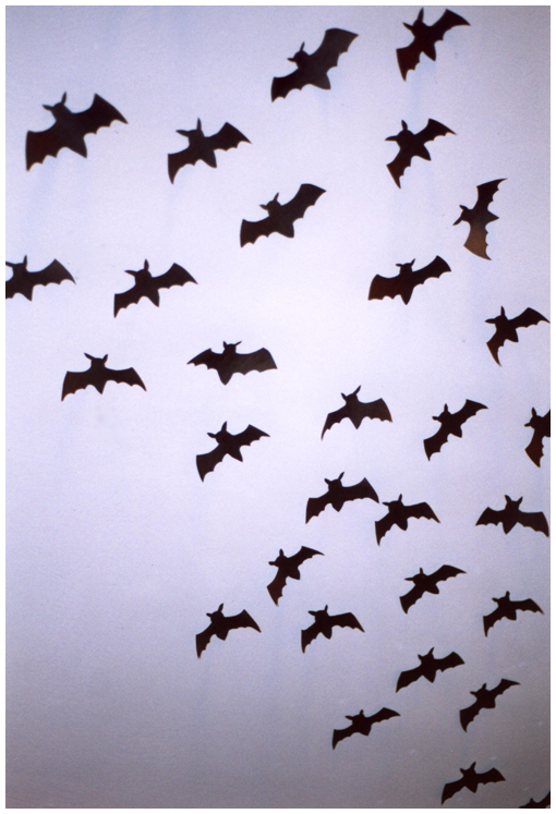 bats