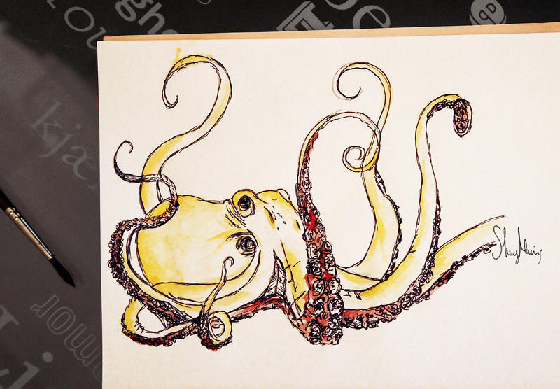 octopus drawing.