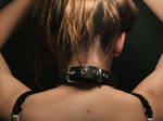 Collar by aurora-crow