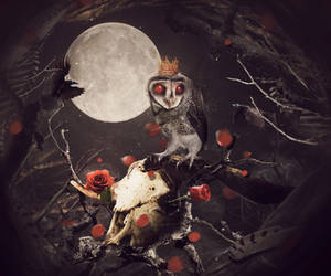 King Owl II by MixeRBink