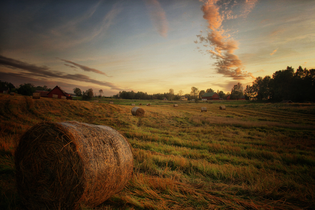 Golden field