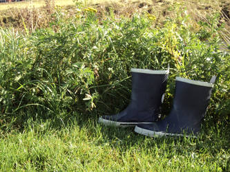Boots, Love and Harmony (Footwear in Nature)