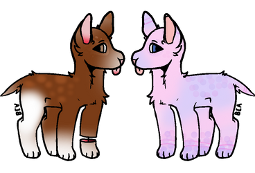 Dog Adoptables AUCTION (closed)