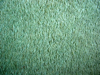 carpet texture 1