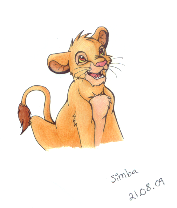 Simba 8D