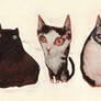 ProCATStination