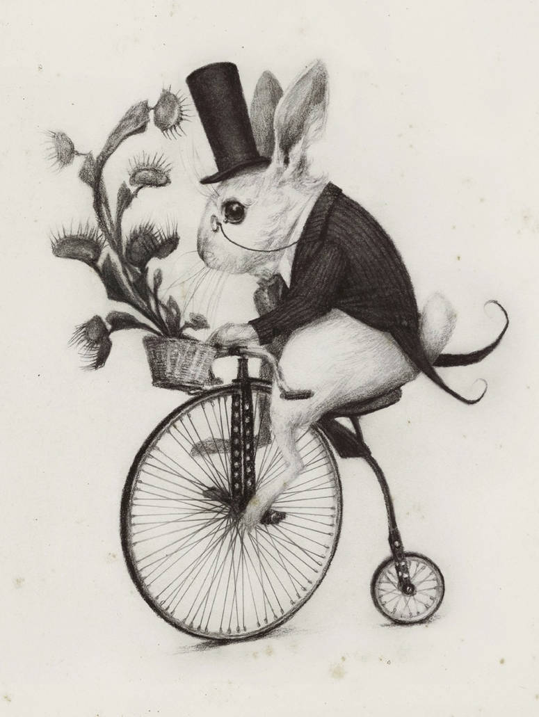 Заяц в ластах. Винтажный кролик. Кролик Алиса в стране чудес. Зайцы в ретро стиле. Кролик из Алисы в стране чудес.