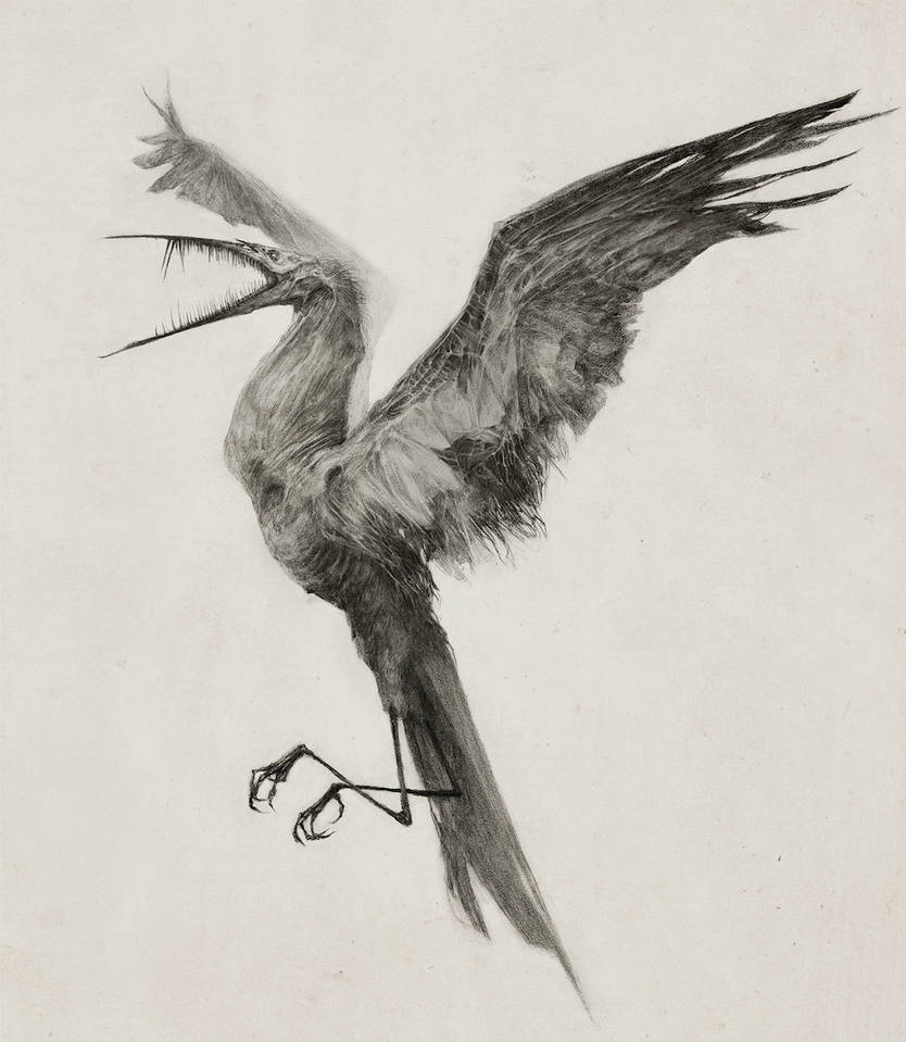 Hunger Bird by AudreyBenjaminsen