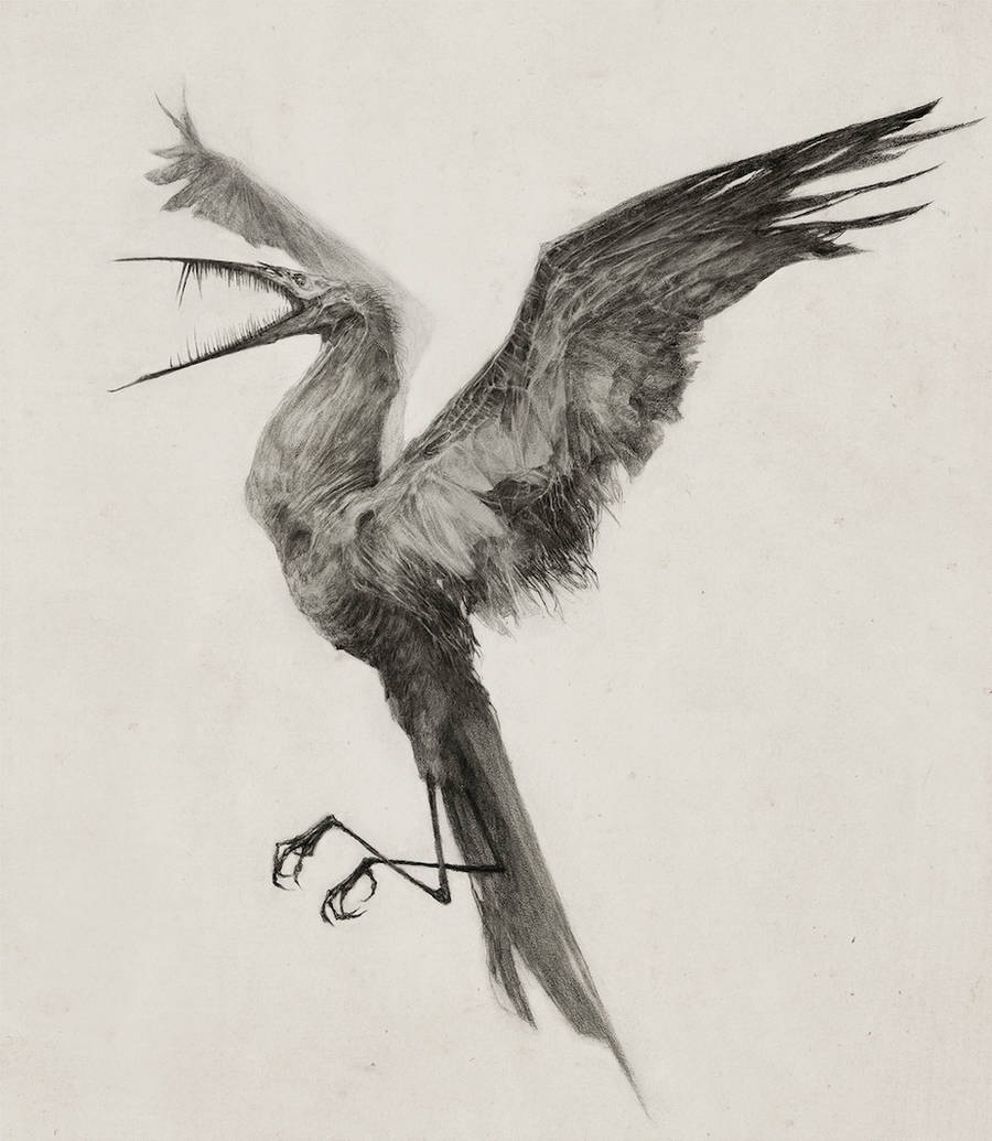 Hunger Bird by AudreyBenjaminsen