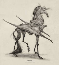 Thestral by AudreyBenjaminsen