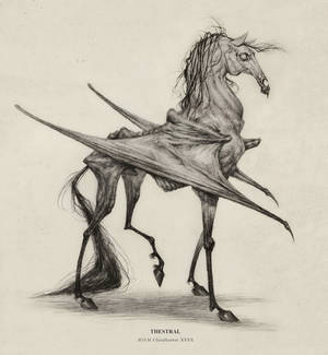 Thestral