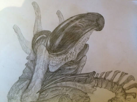 The Xenomorph 