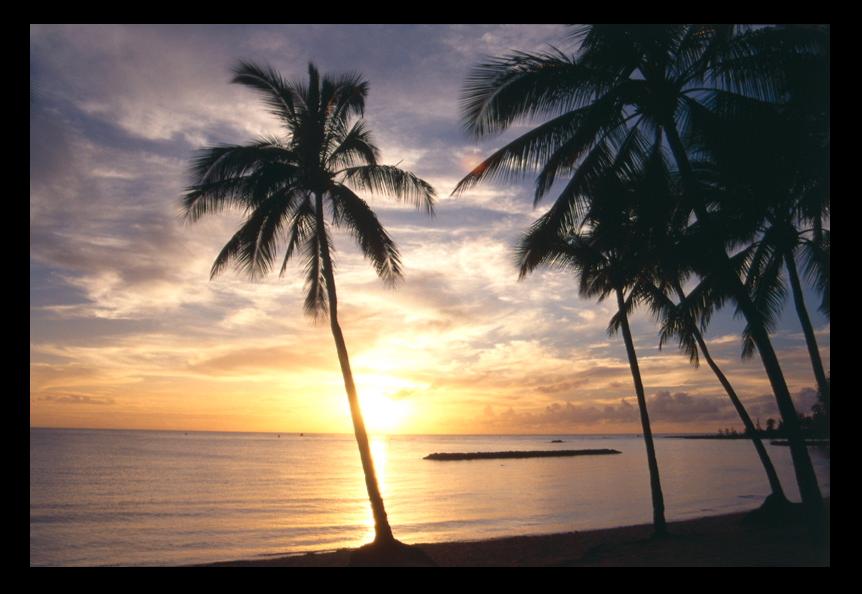 barrier reef, Abaco