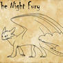 Night Fury