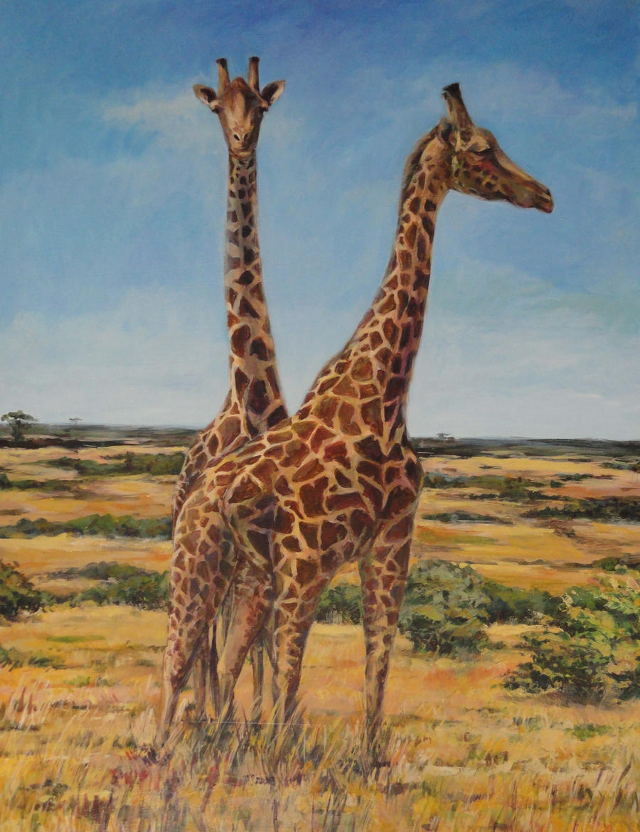 Giraffes