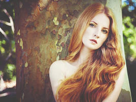 Beautiful Redheads Set of 6 Photoshop Actions