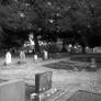 YV Cemetery 05