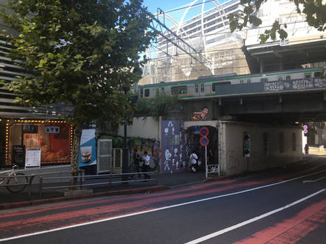 Shibuya Overpass