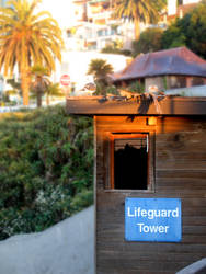 La Jolla Lifeguard Tower