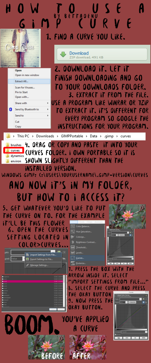 How to use and install a GIMP curve