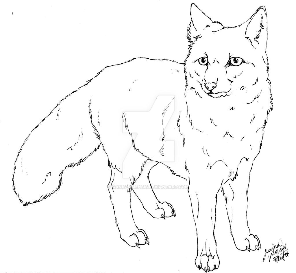 Corsac Fox lineart