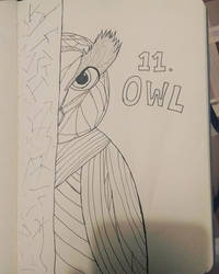 11-Owl