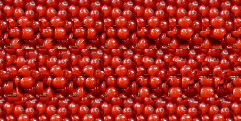 Stereogram Picture 131 - Redcurrant