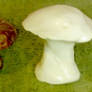 Stereogram - Mushroom
