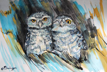 Cute owls