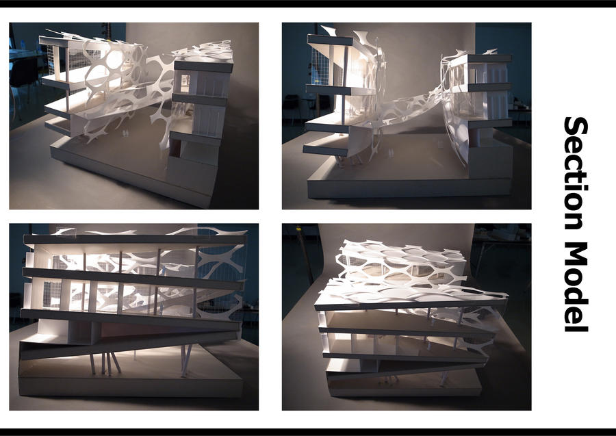 Serial Section. Model Research Section Model by ykcaj112 on DeviantArt