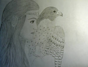Eleniel and Arrow the falcon