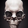 Alien Head Case #2