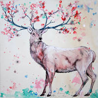 Cherry Tree Stag