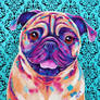 Pug - cushion cover design