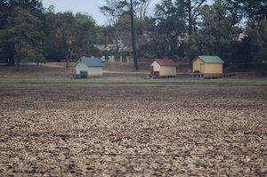 Boat sheds by the dried out...